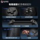 【GAMESIR】 蓋世小雞 G8+ 射手座 拉伸手把 信星科技 手把