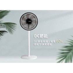 【奇美CHIMEI】DF-12A0CT 12吋DC馬達遙控擺頭 桌/立式循環扇｜現貨 免運 快速出貨 公司貨 全新品